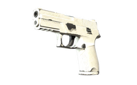 P250 | Whiteout (Testé sur le terrain)
