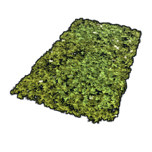 Grass Rug