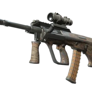 Souvenir AUG | Spalted Wood (Well-Worn)