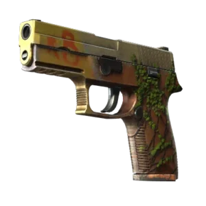 P250 | Inferno (Well-Worn)