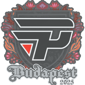 Sticker | paiN Gaming | Budapest 2025