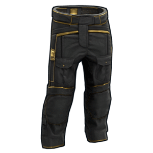Black Gold Pants