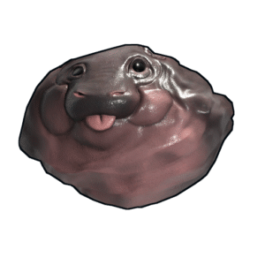 Baby Hippo Rock