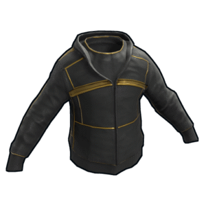 Black Gold Hoodie