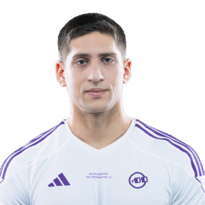 Glitter Fly Player Sticker - TI 2024