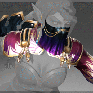 Inscribed Sleeves of the Hidden Flower