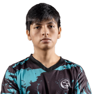 Gold payk Player Sticker - TI 2024