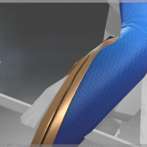 Roost of the Winter Raven - Arms