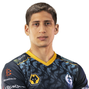 Fly Player Sticker - TI 2022