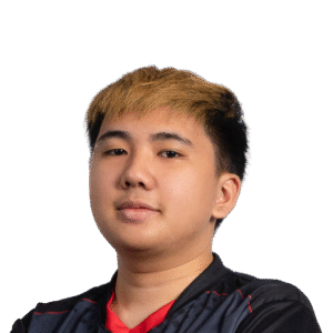 Yopaj- Player Sticker - TI 2022