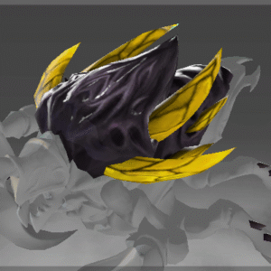 Inscribed Shadow Spine