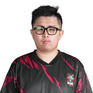 TIMS Player Sticker - TI 2025