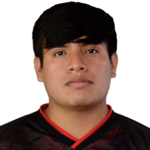 Gard1ck Player Sticker - TI 2022