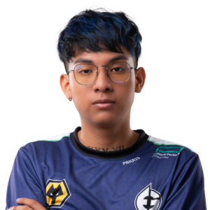 Pakazs Player Sticker - TI 2023