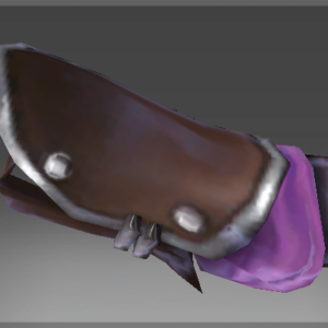 Bracers of the Witch Hunter