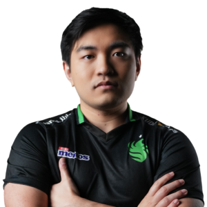 Sneyking Player Sticker - TI 2024