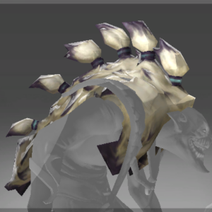 Headdress Of The Yuwipi