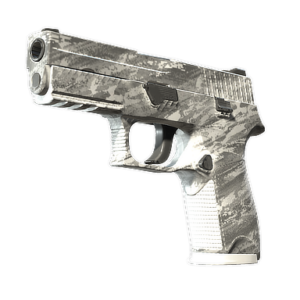 P250 | Sleet (Factory New)