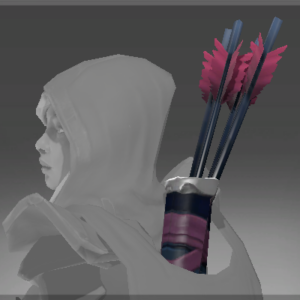 Quiver of the Shadowcat