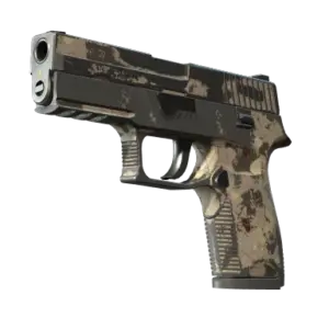 P250 | Black & Tan (Marqué par la bataille)