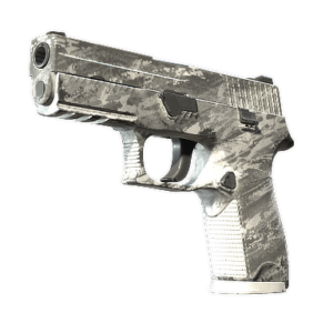 P250 | Sleet (Field-Tested)