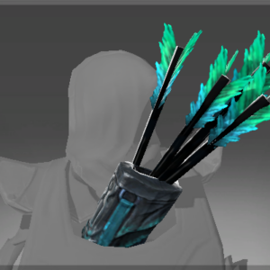 Quiver of the Boreal Watch