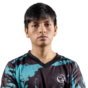 payk Player Sticker - TI 2024