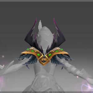 Mantle of the Concealed Raven