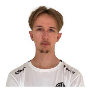 Ari Player Sticker - TI 2023