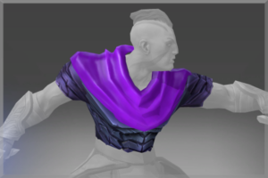 Inscribed Tunic of the Survivor