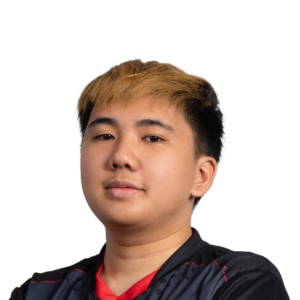 Holo Yopaj- Player Sticker - TI 2022