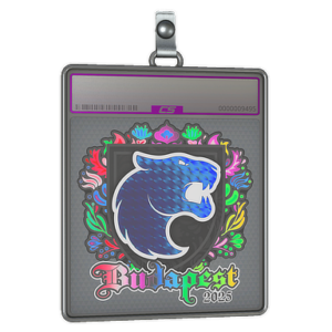 Sticker Slab | FURIA (Holo) | Budapest 2025