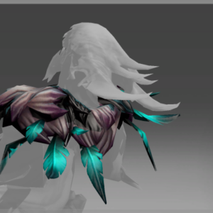 Inscribed Cover of the Sleepless Sect